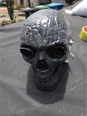 Fiber optic Light  Skeleton head Battery operated